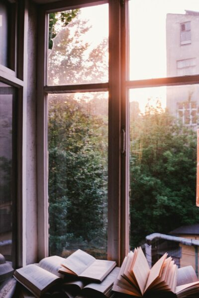books on shelf by a window in an urban home at sunrise